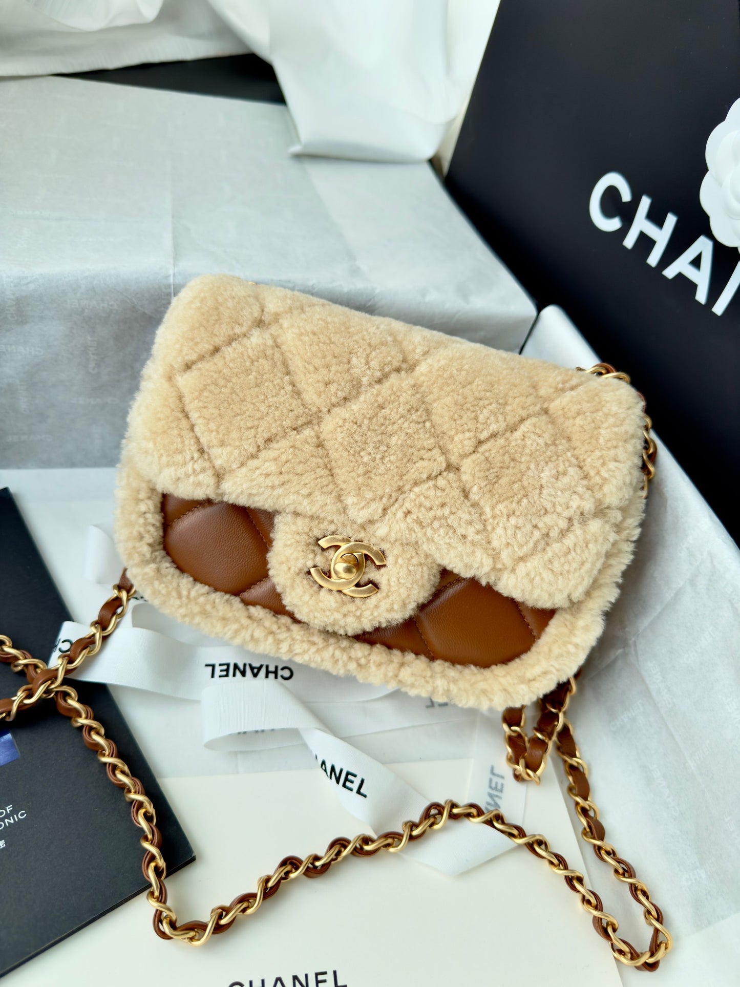 Chanel Mini Handbag