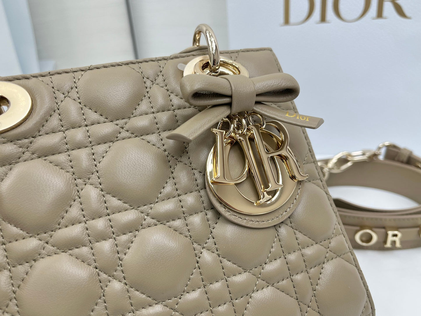 Dior Lady Dior My ABCDior Bow Handbag