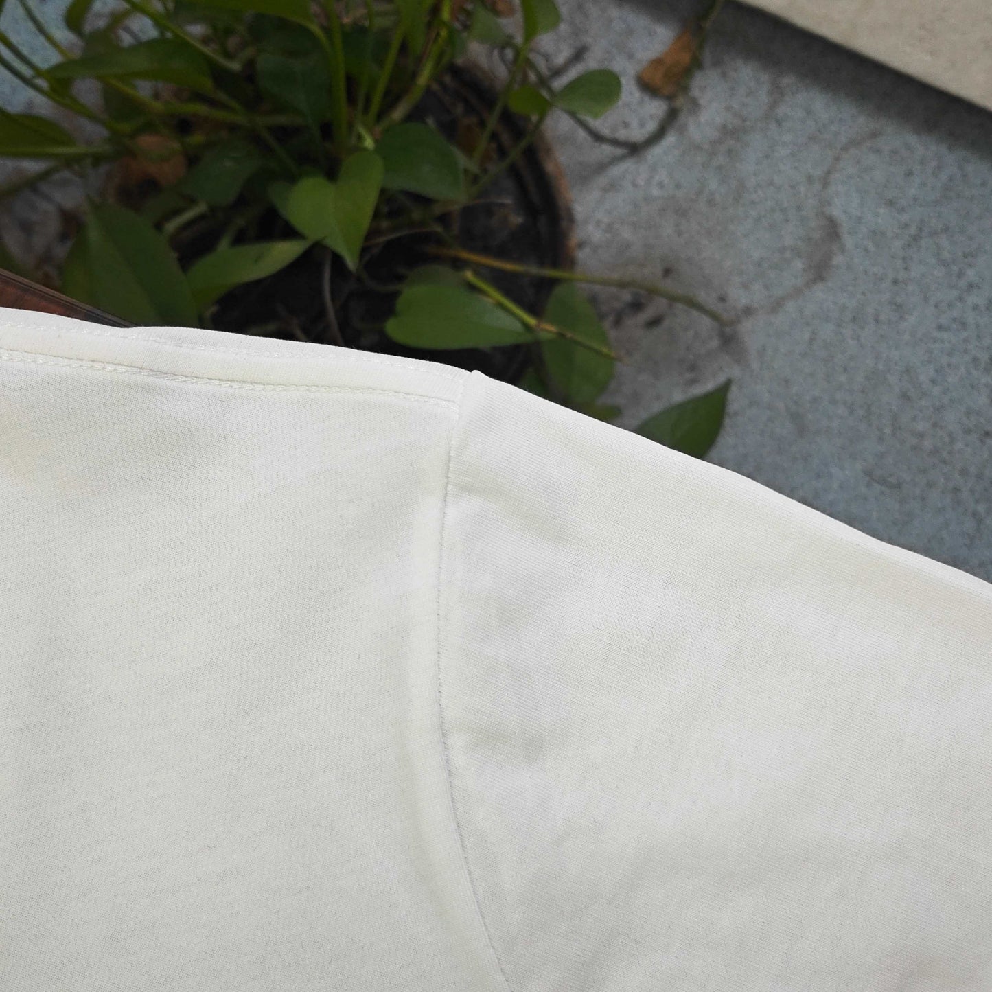 Dior Embroidered Logo Cotton T-Shirt – 2026