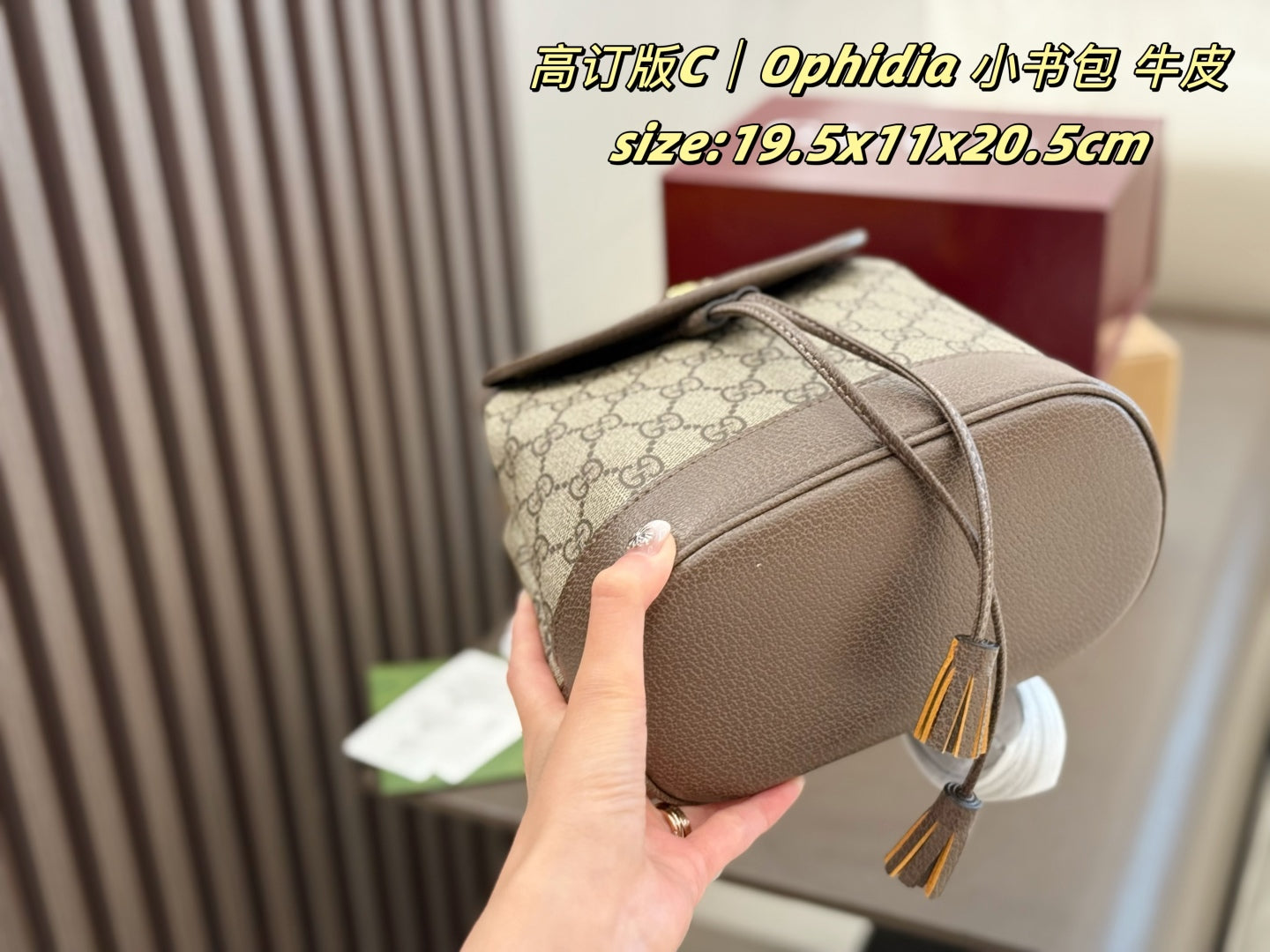 Gucci Ophidia Mini Backpack