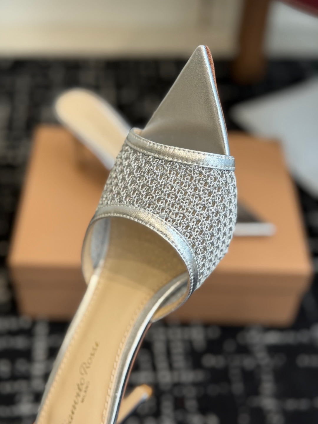 Gianvito Rossi Pointed-Toe Mesh Heeled Sandals – Spring/Summer Collection – 26SS