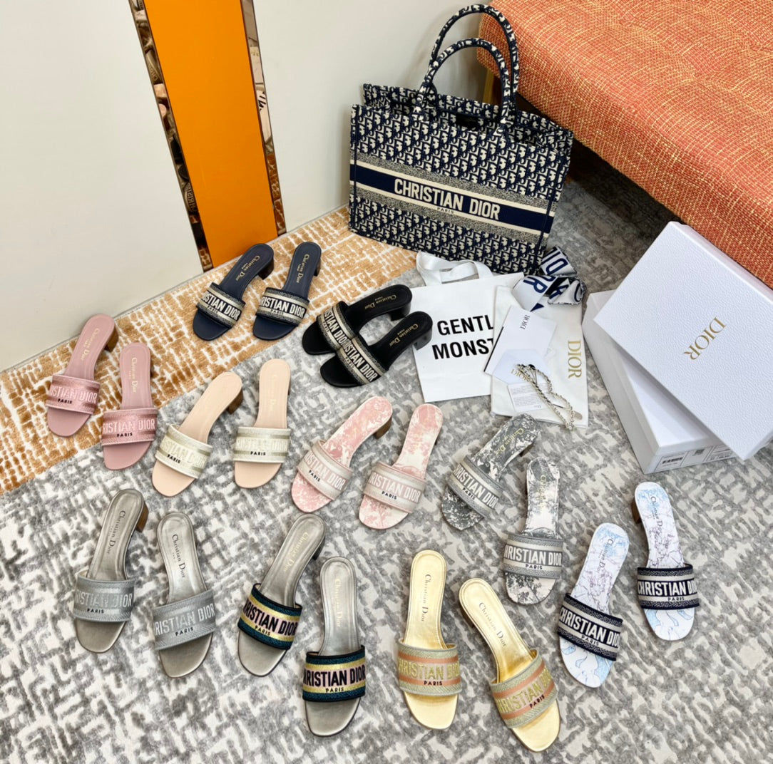 Dior Ladies Oblique Embroidered Slides – Spring/Summer Collection