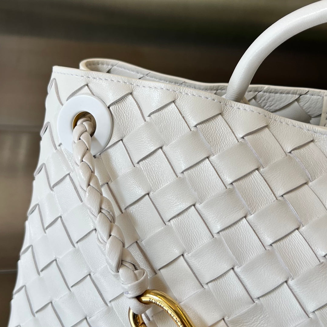 Bottega Veneta Andiamo Handbag