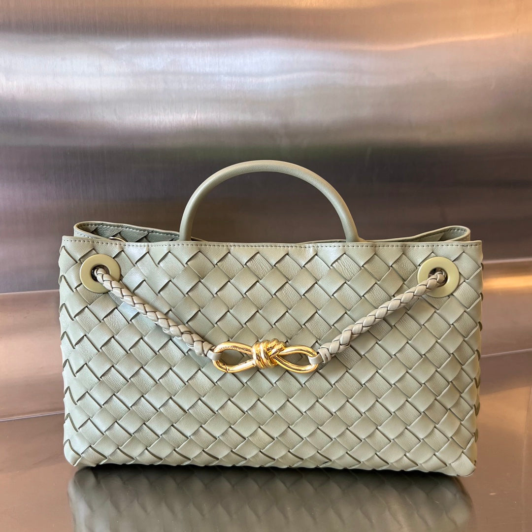 Bottega Veneta Andiamo Handbag