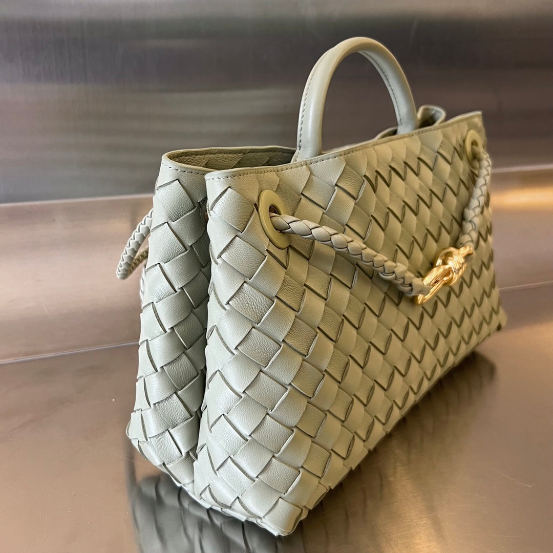 Bottega Veneta Andiamo Handbag