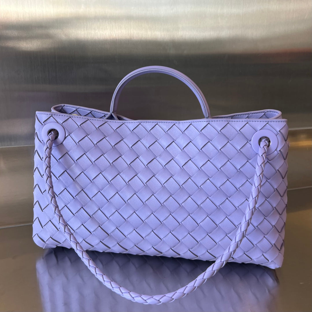 Bottega Veneta Andiamo Handbag