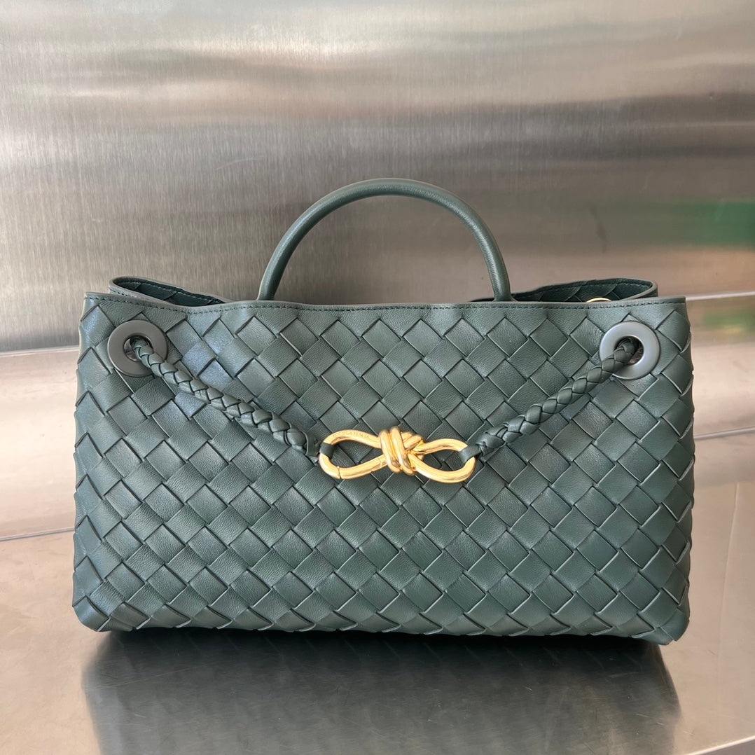 Bottega Veneta Andiamo Handbag