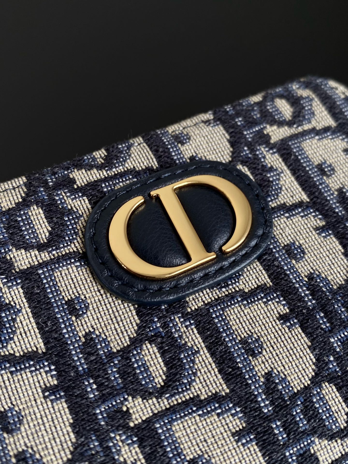 Dior Saddle Zipper Card Holder