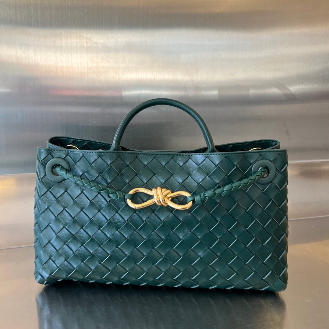 Bottega Veneta Andiamo Handbag