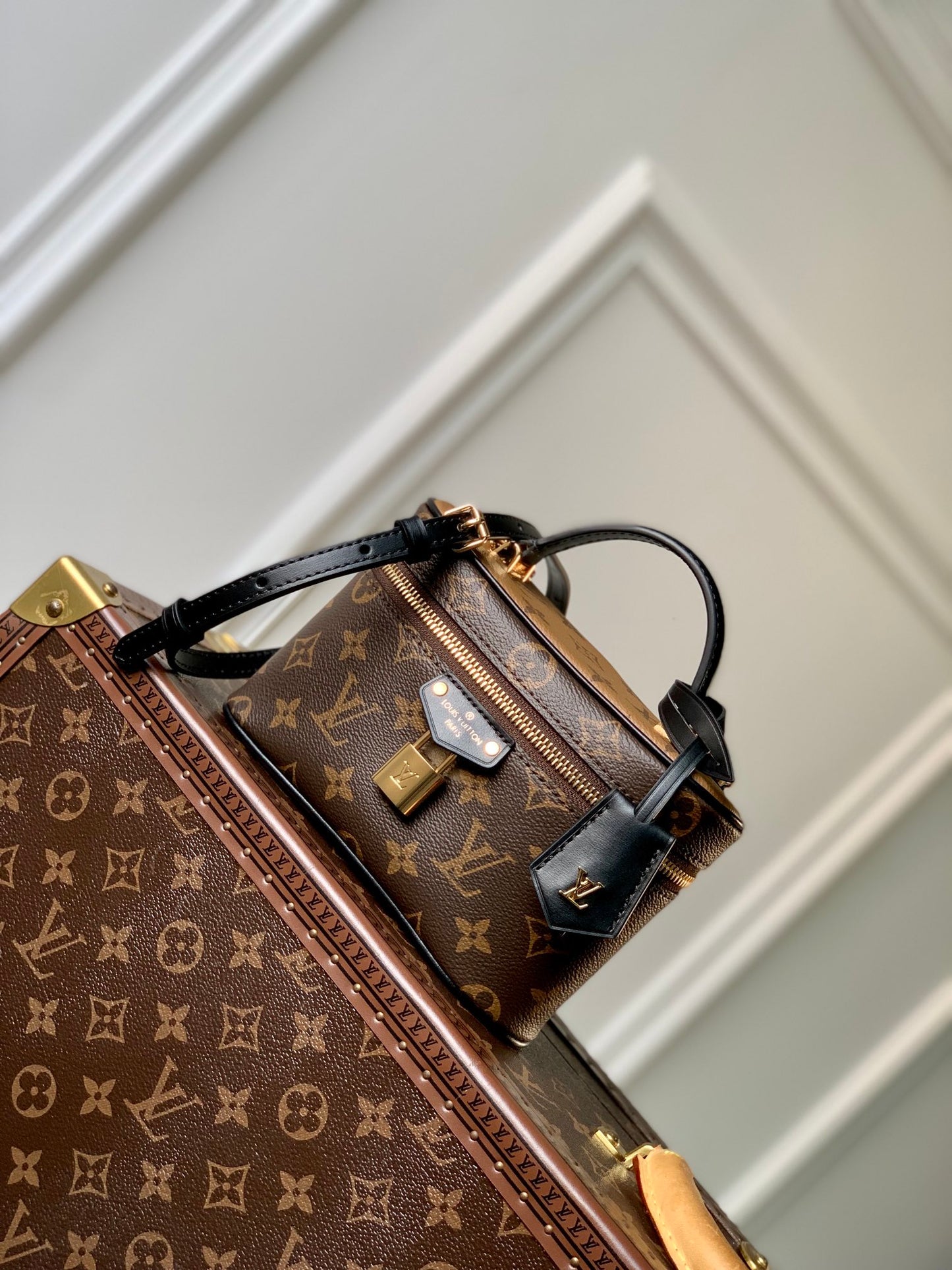 Louis Vuitton Vanity Chain Pouch