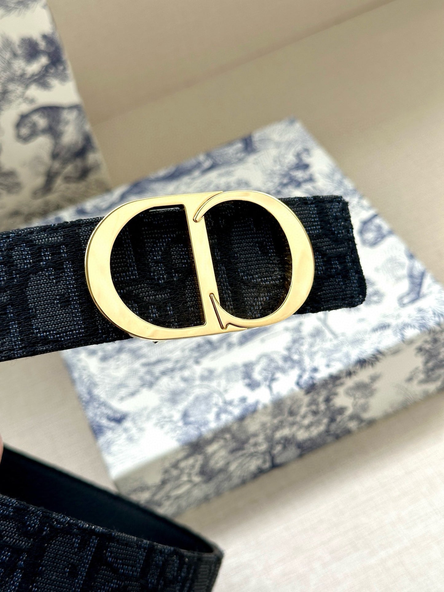 Dior Reversible Belt