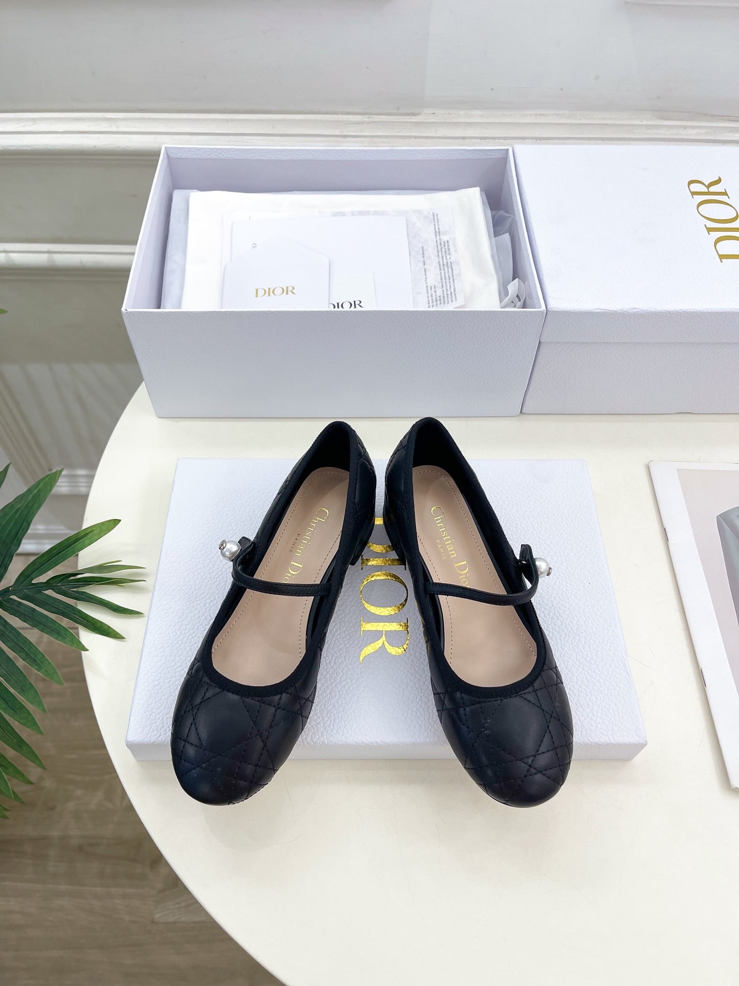 Dior Cannage Pearl Ballet Pumps – 2024 Early Spring Collection