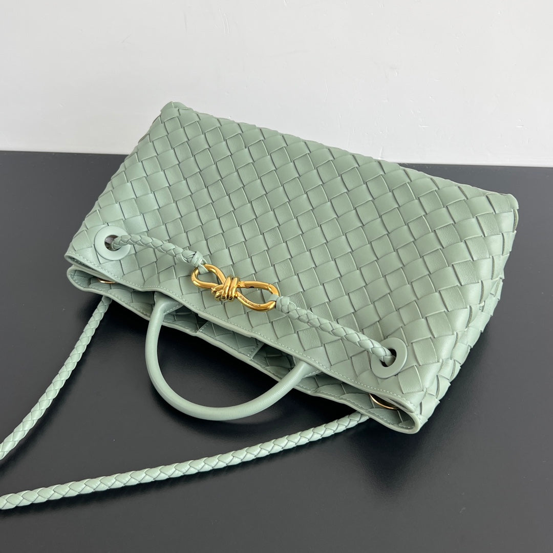 Bottega Veneta Andiamo Handbag