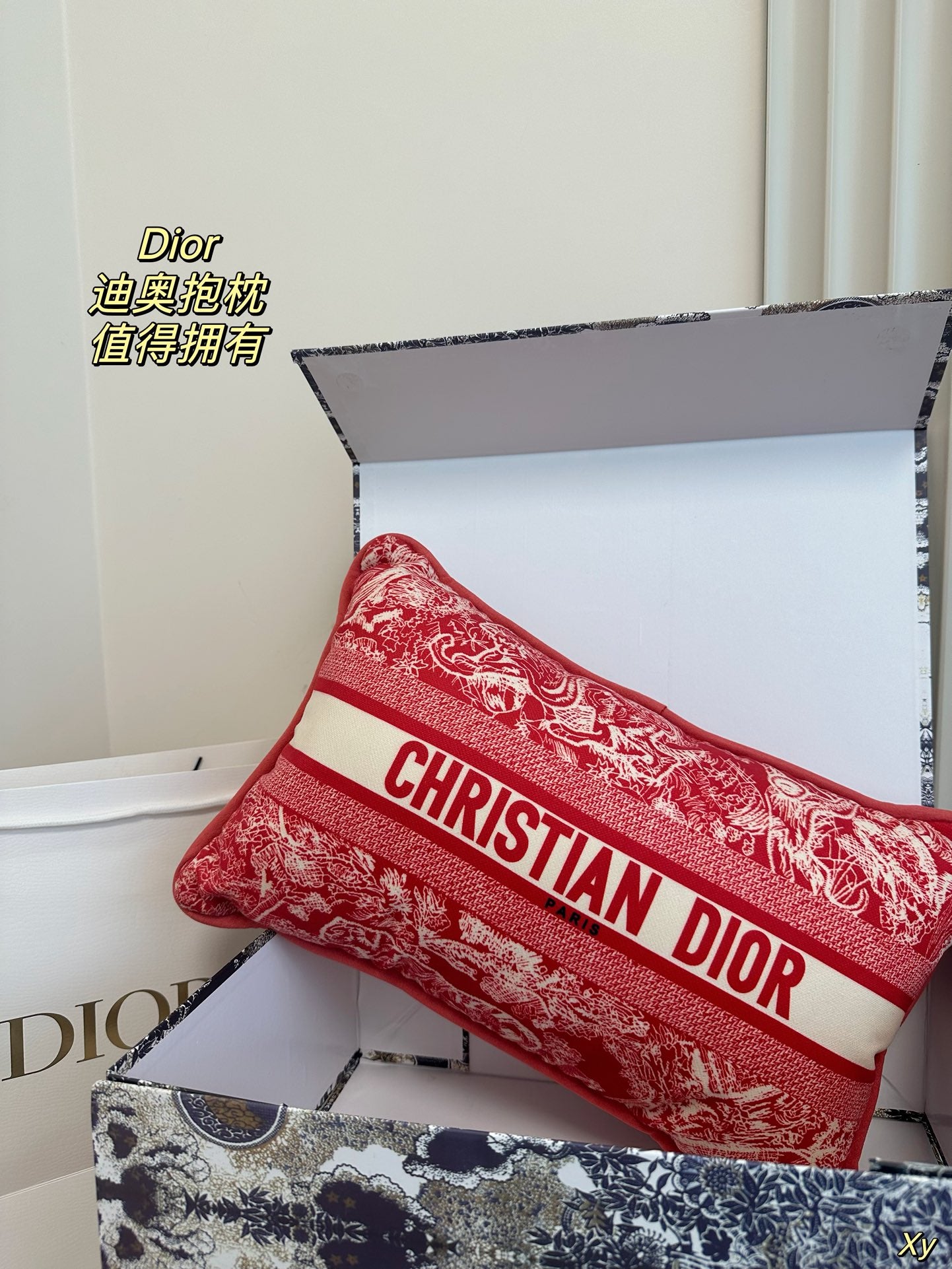 Dior Limited Edition Home Pillow – XYBH