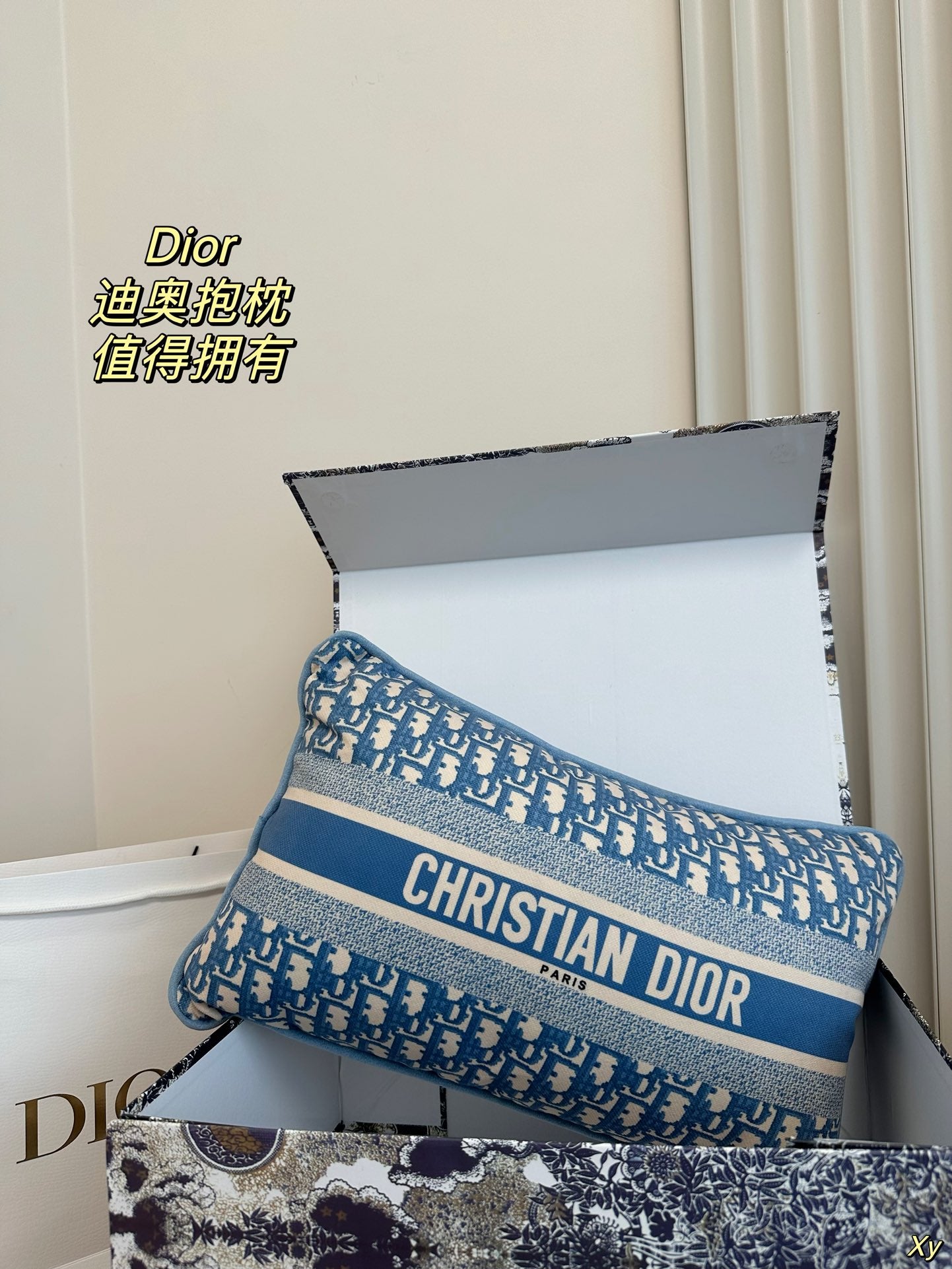 Dior Limited Edition Home Pillow – XYBH