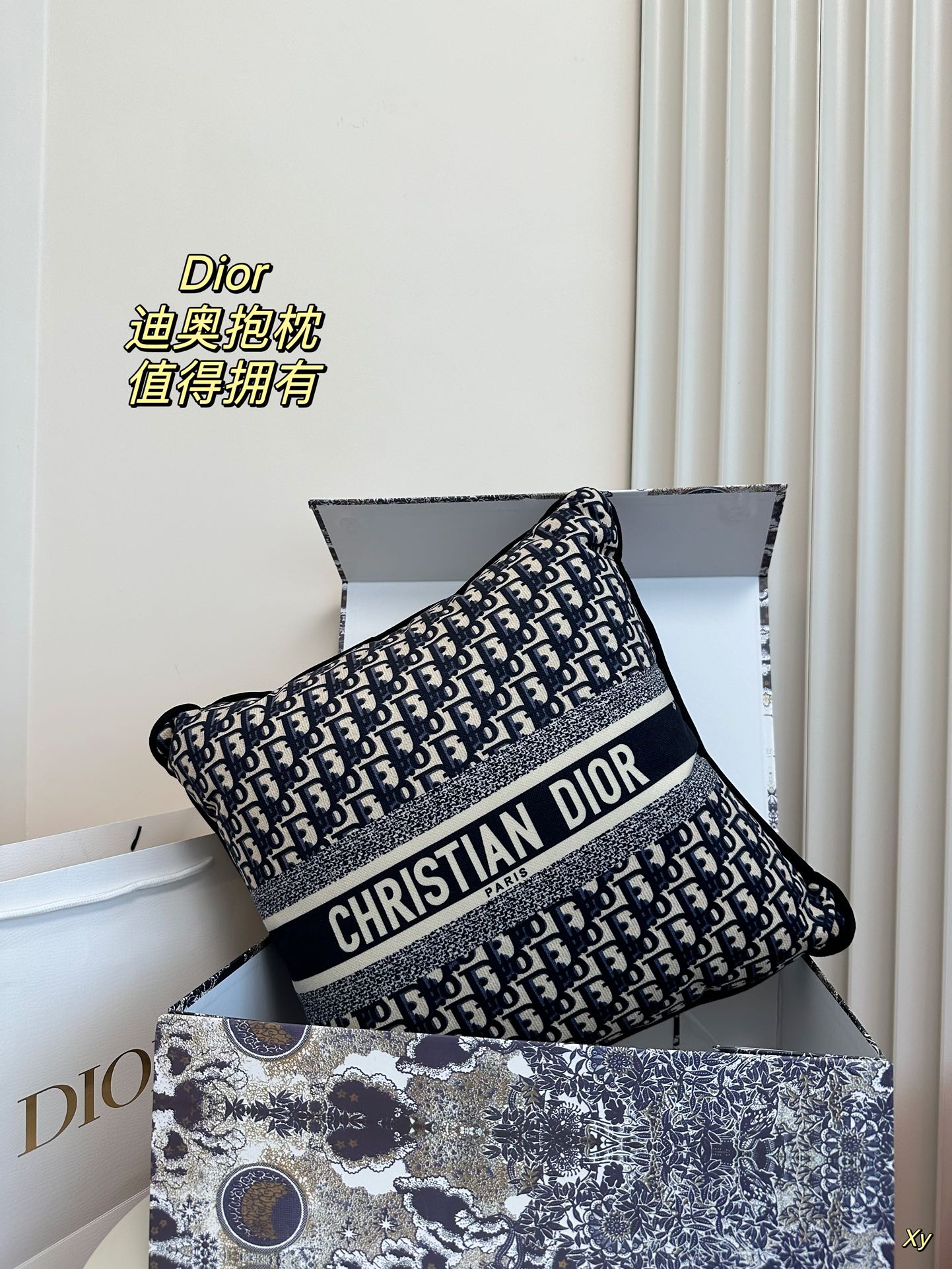 Dior Limited Edition Home Pillow