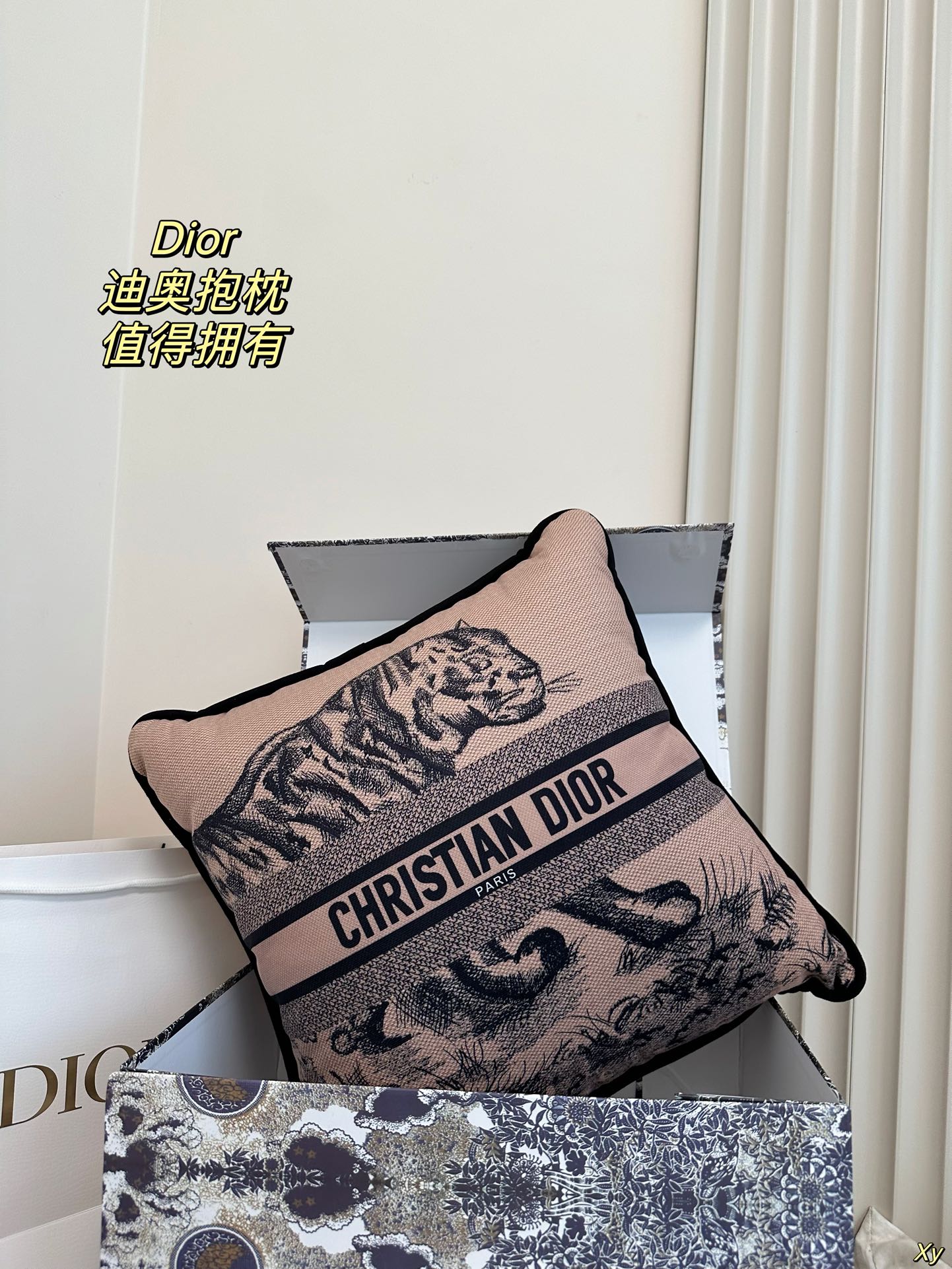 Dior Limited Edition Home Pillow