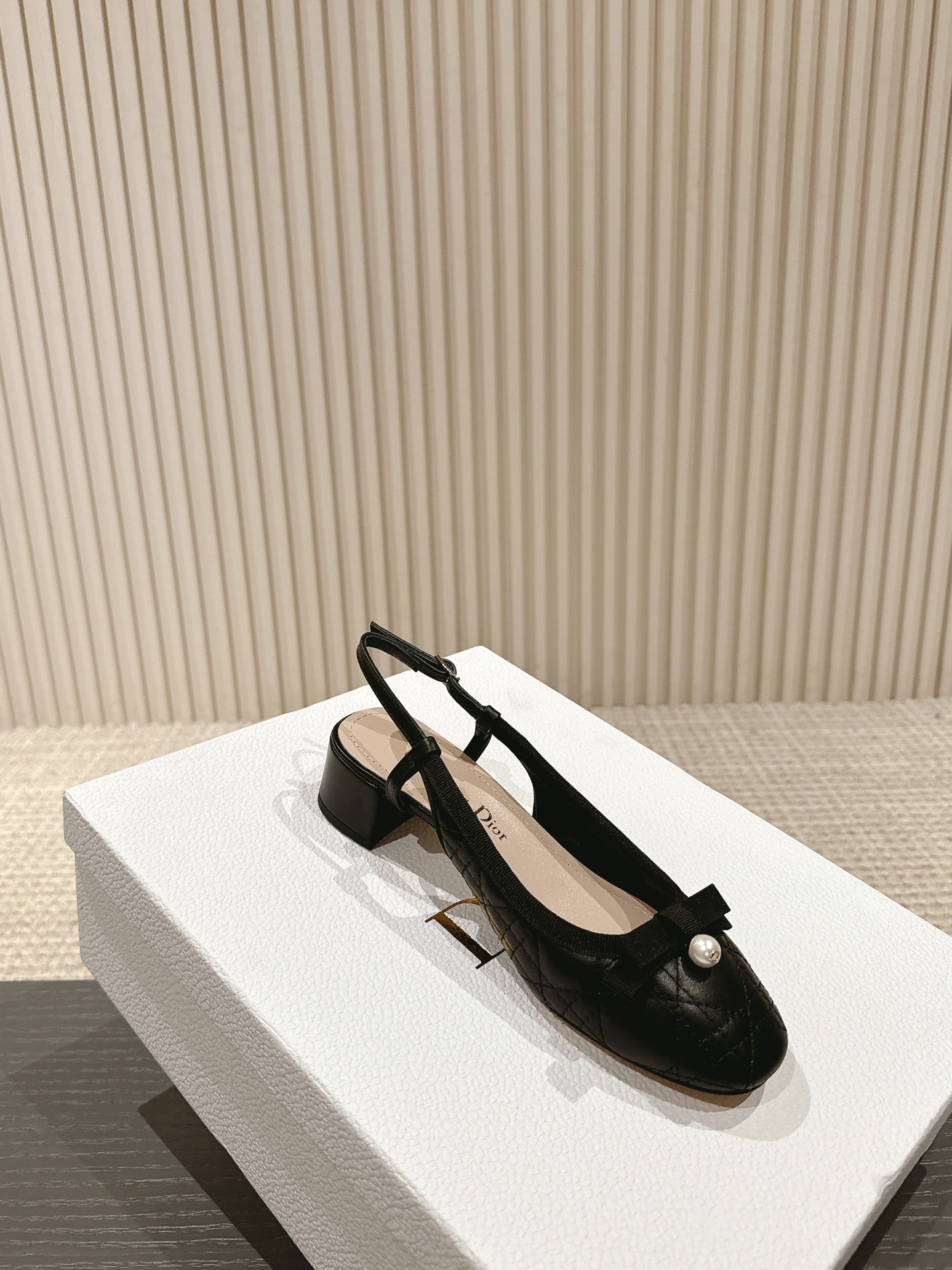 Dior D-Ramour Embroidered Cannage Ballet Flats – 2024 Spring/Summer Collection
