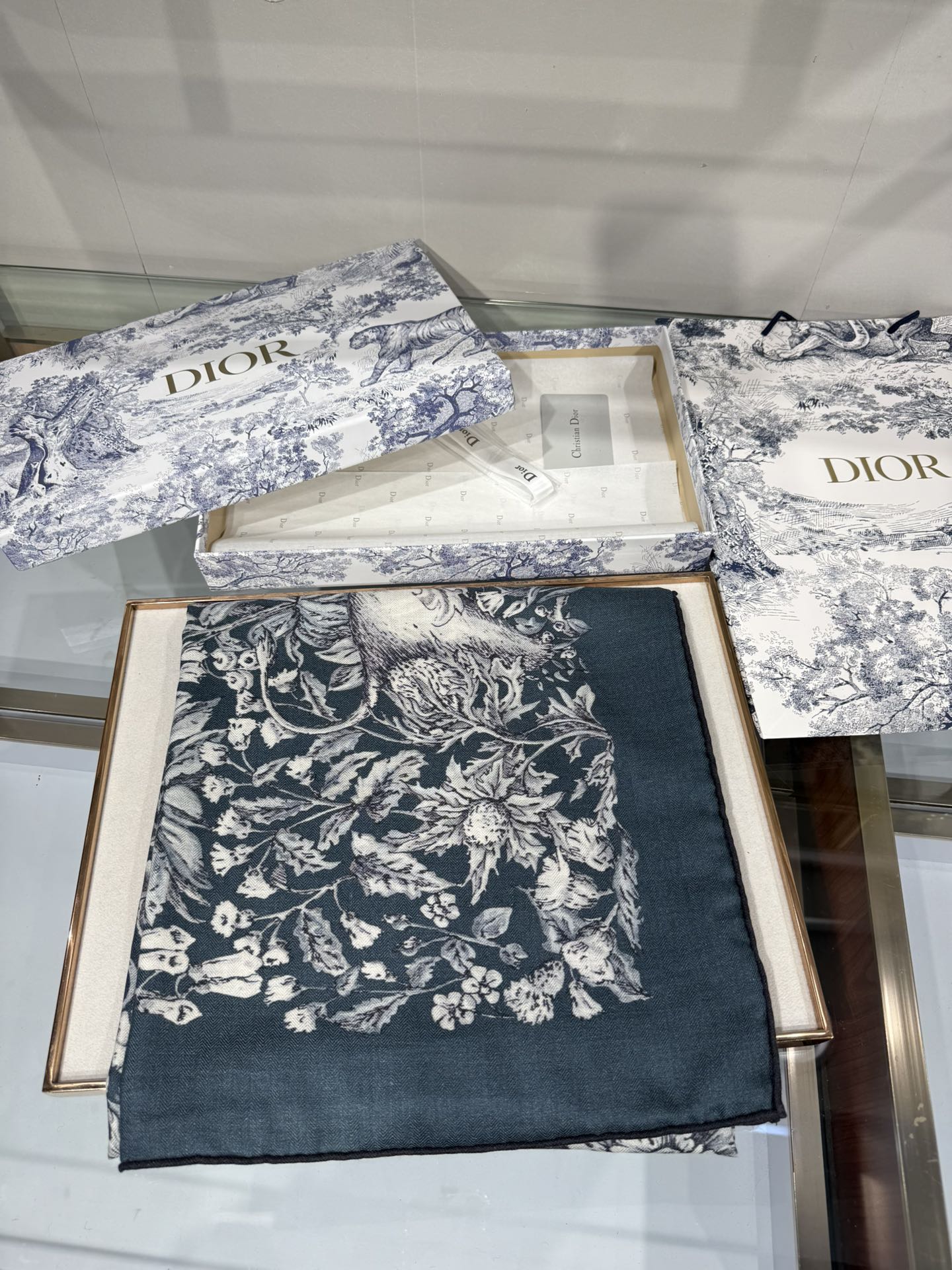 Dior Cashmere Silk Square Scarf – 2025 Collection