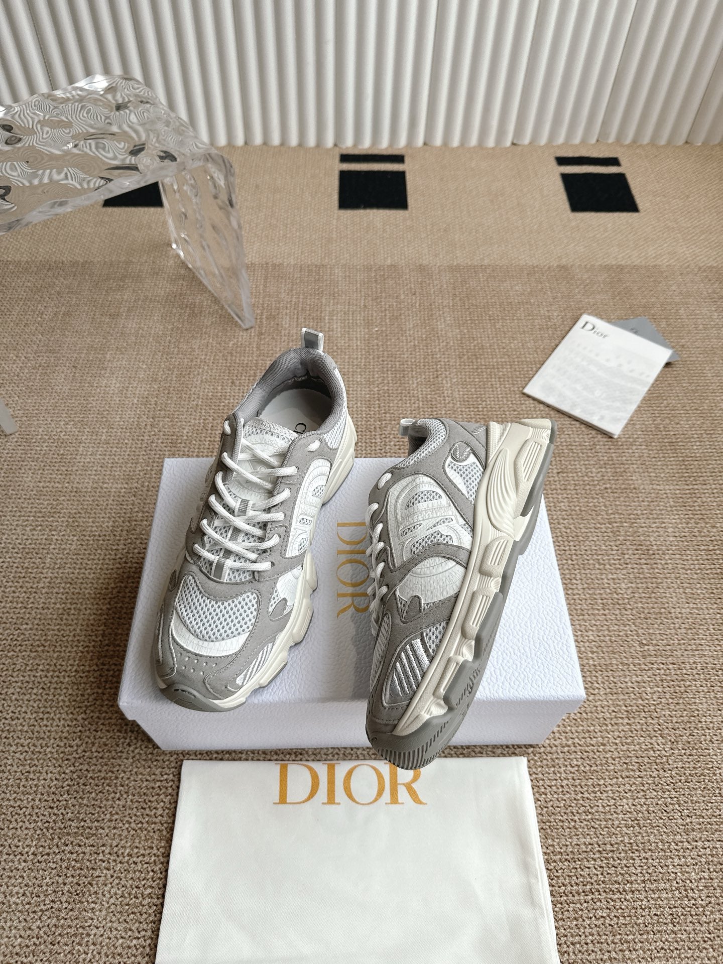 Dior Vibe Sneakers