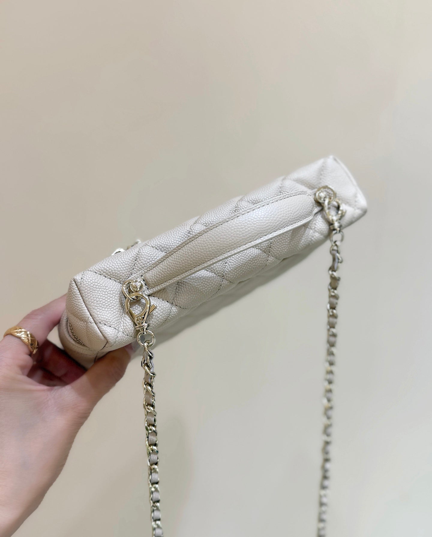Loro Piana Lunchbox Bag Small Logo – Early Spring Collection – 25C
