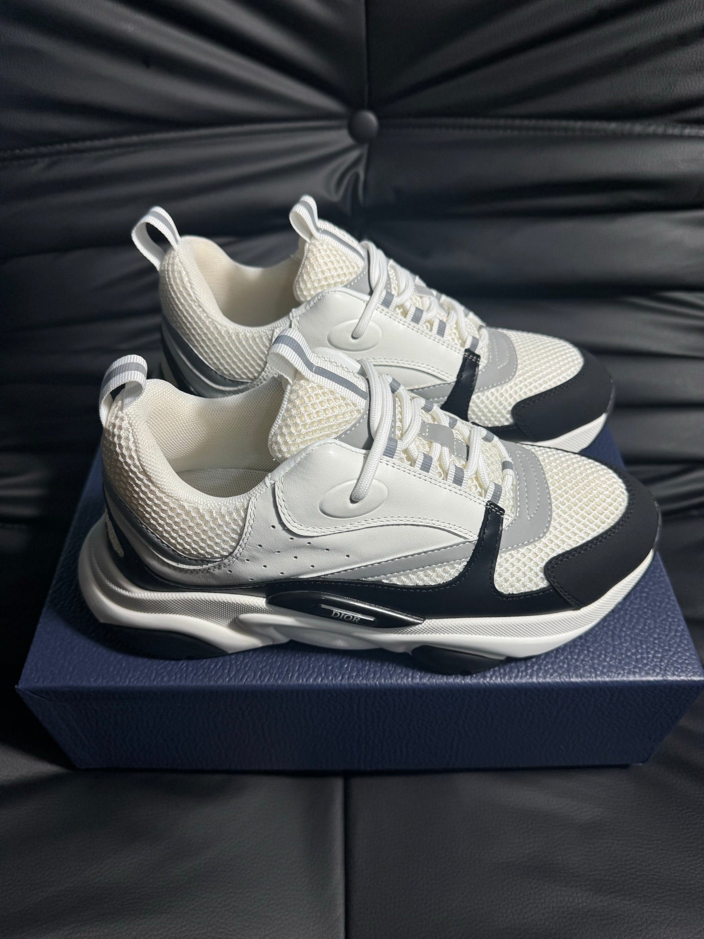 Dior B22 Calfskin Sneakers