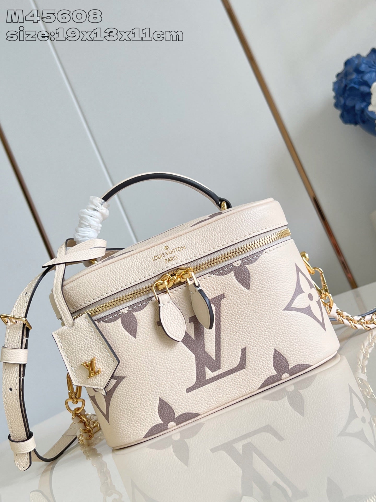 Louis Vuitton Vanity Small Handbag – M45608
