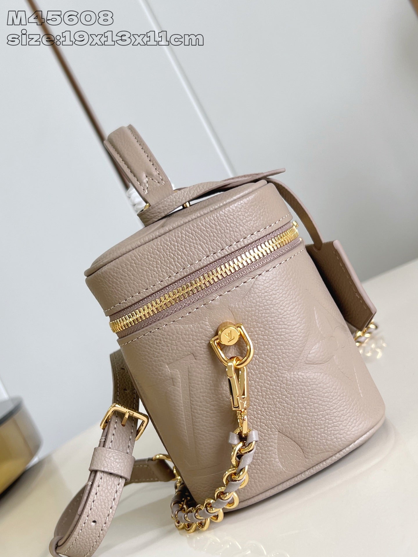 Louis Vuitton Vanity Small Handbag – Giant Monogram Embossed