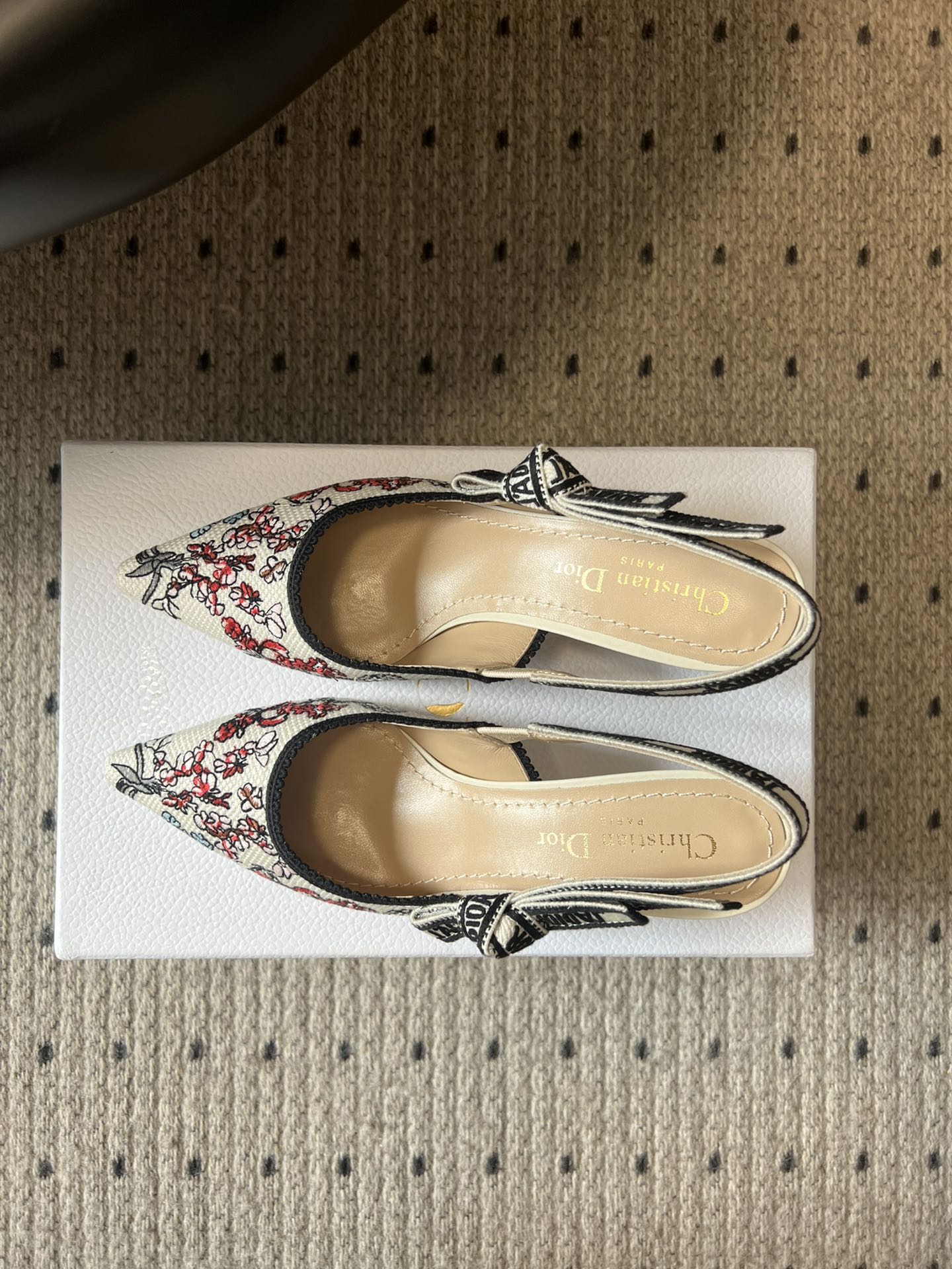 Dior Classic Multi-Color Embroidered Pumps