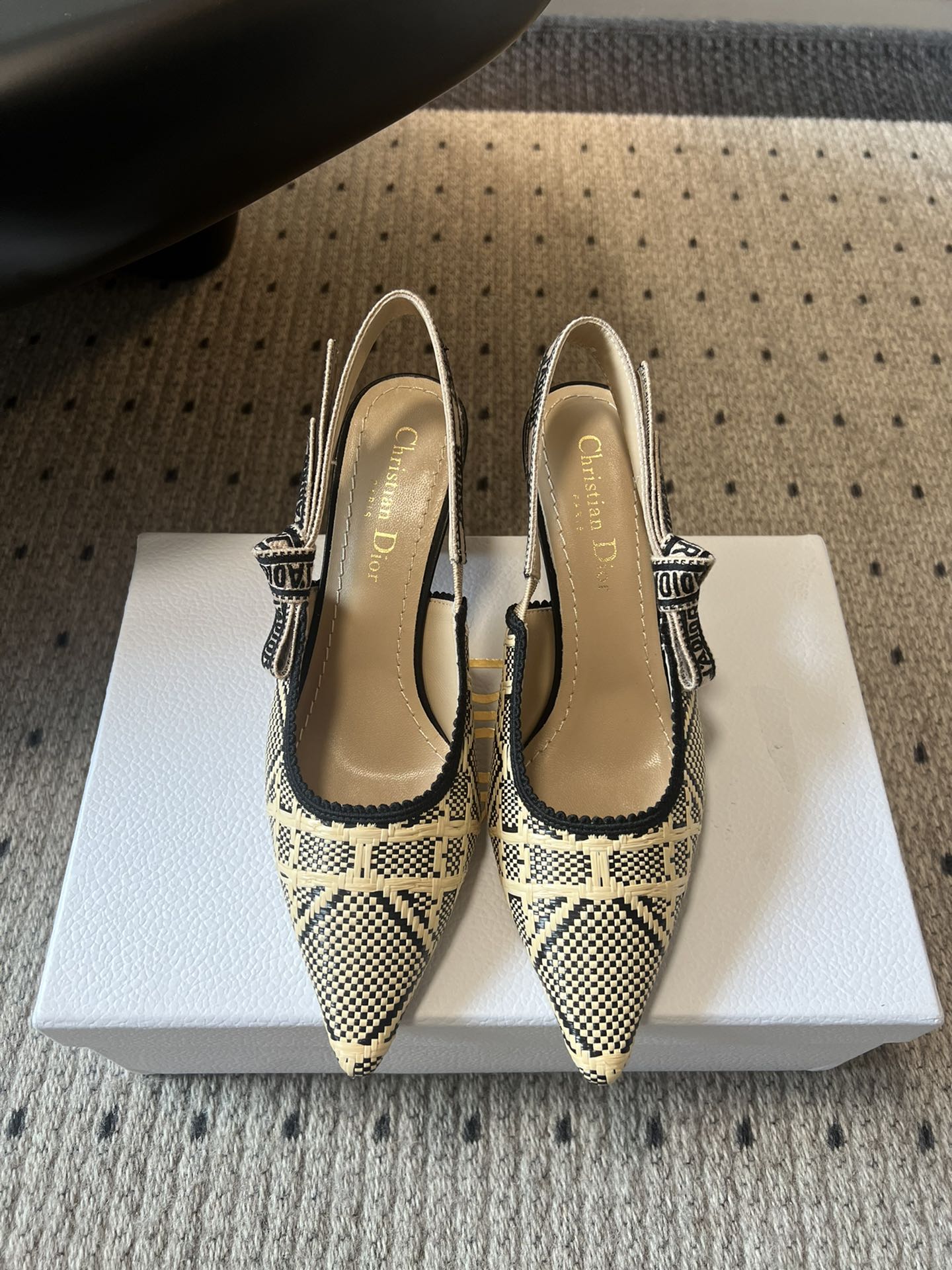 Dior Classic Multi-Color Embroidered Pumps