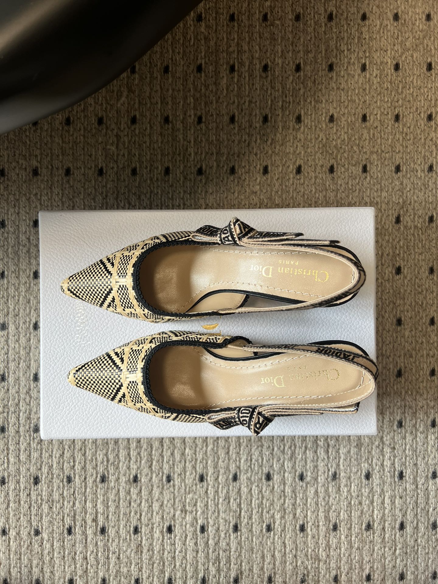 Dior Classic Multi-Color Embroidered Pumps