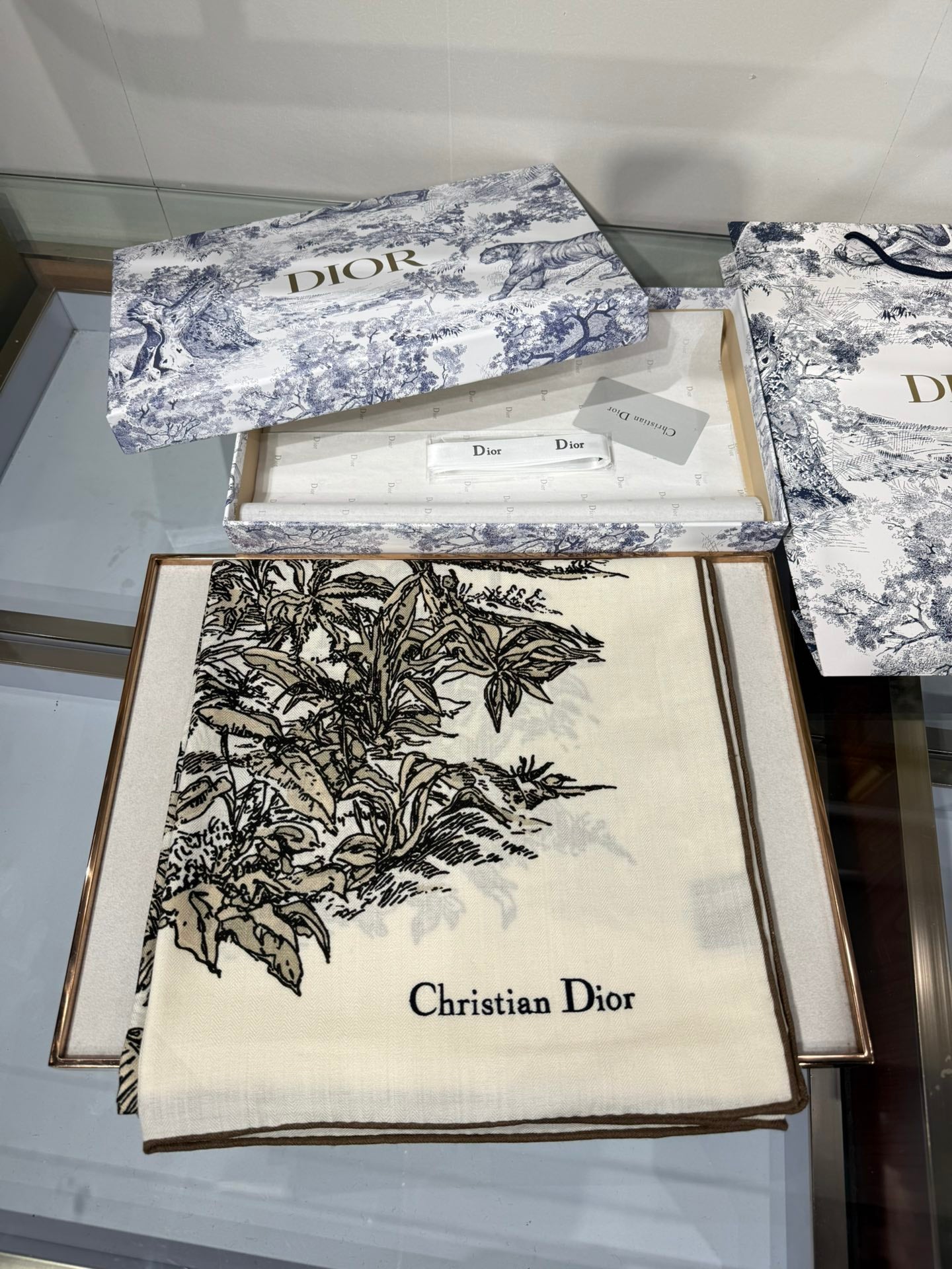 Dior Cashmere Silk Square Scarf – 2025 Collection