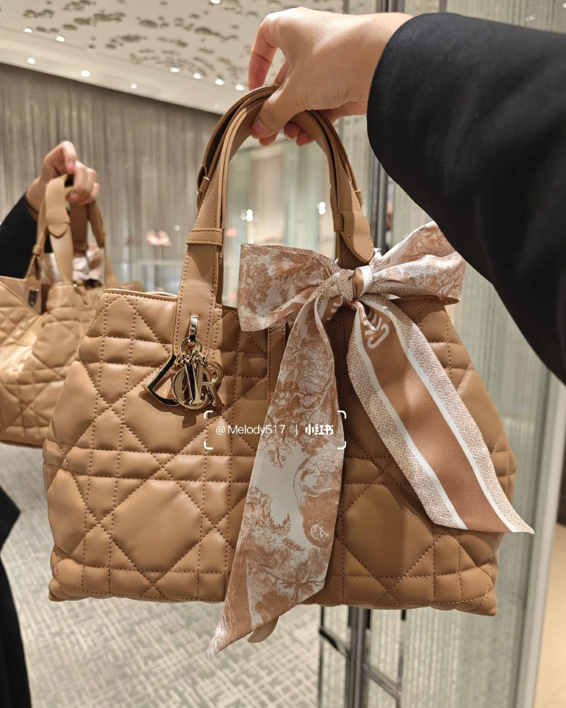 Dior Toujours Handbag