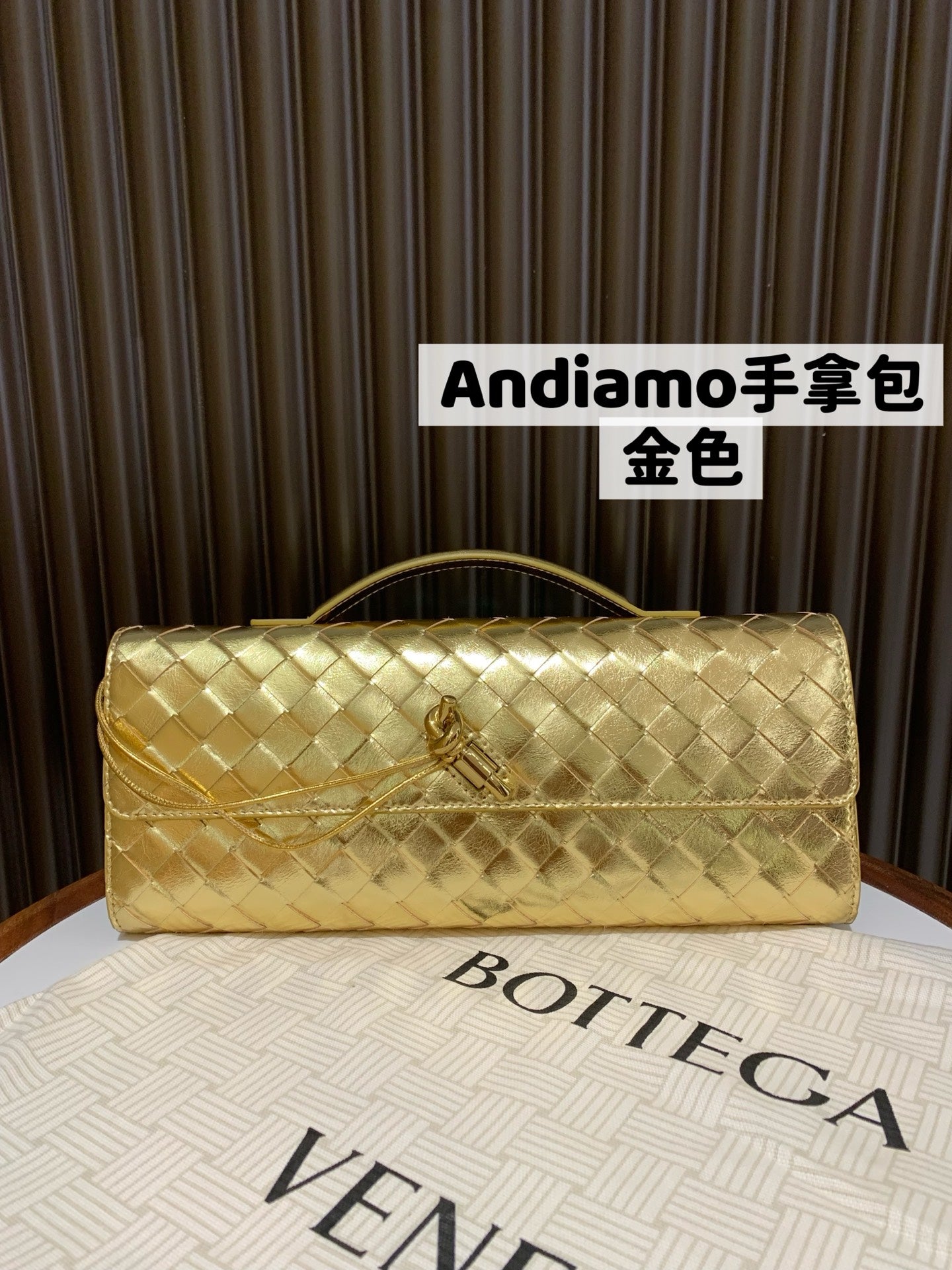 Bottega Veneta Andiamo Clutch Bag