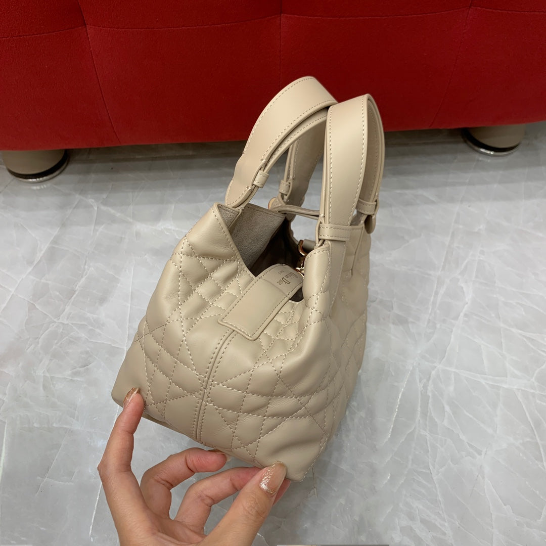 Dior Toujours Small Handbag
