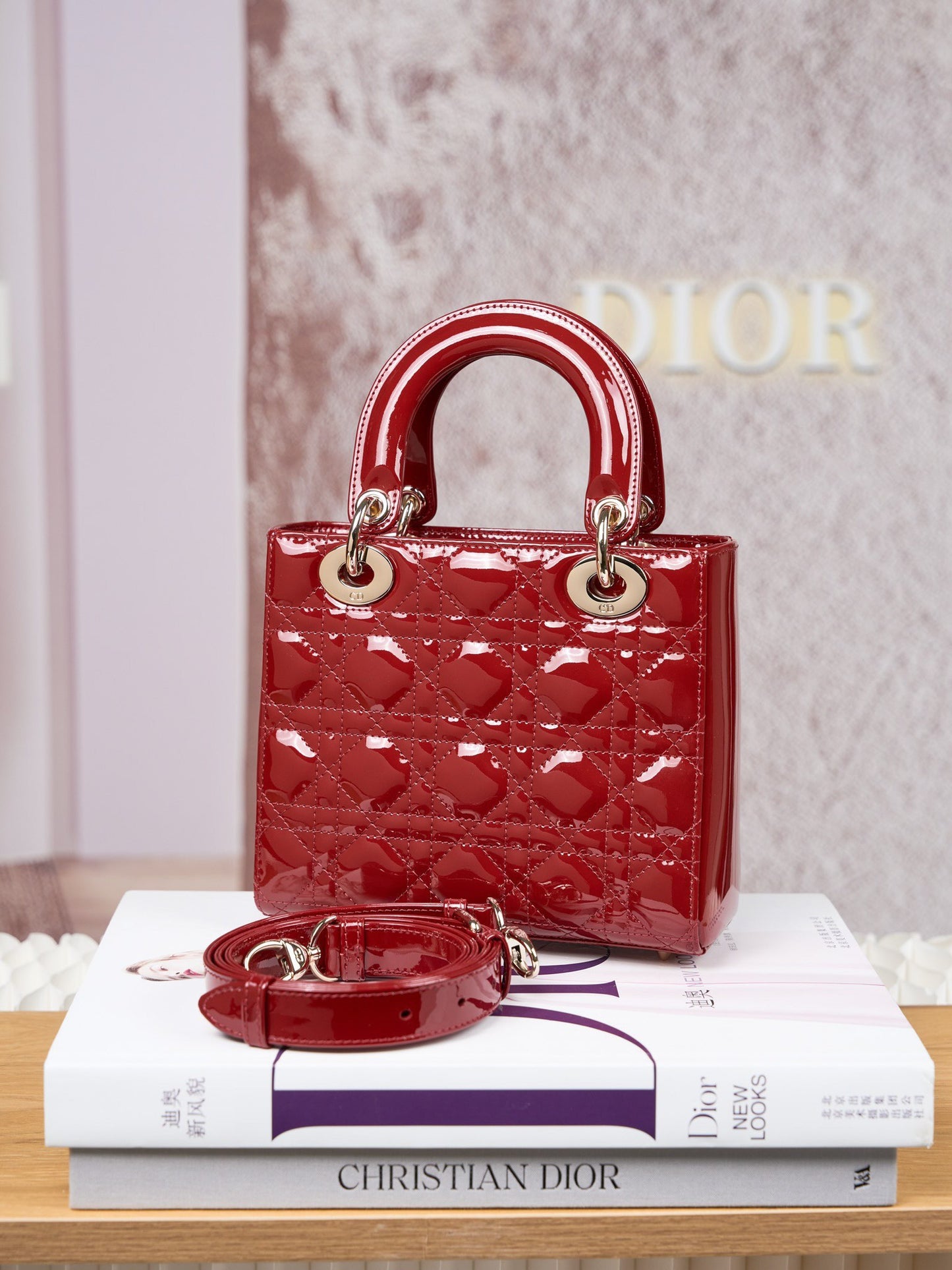 Dior Lady Dior Handbag