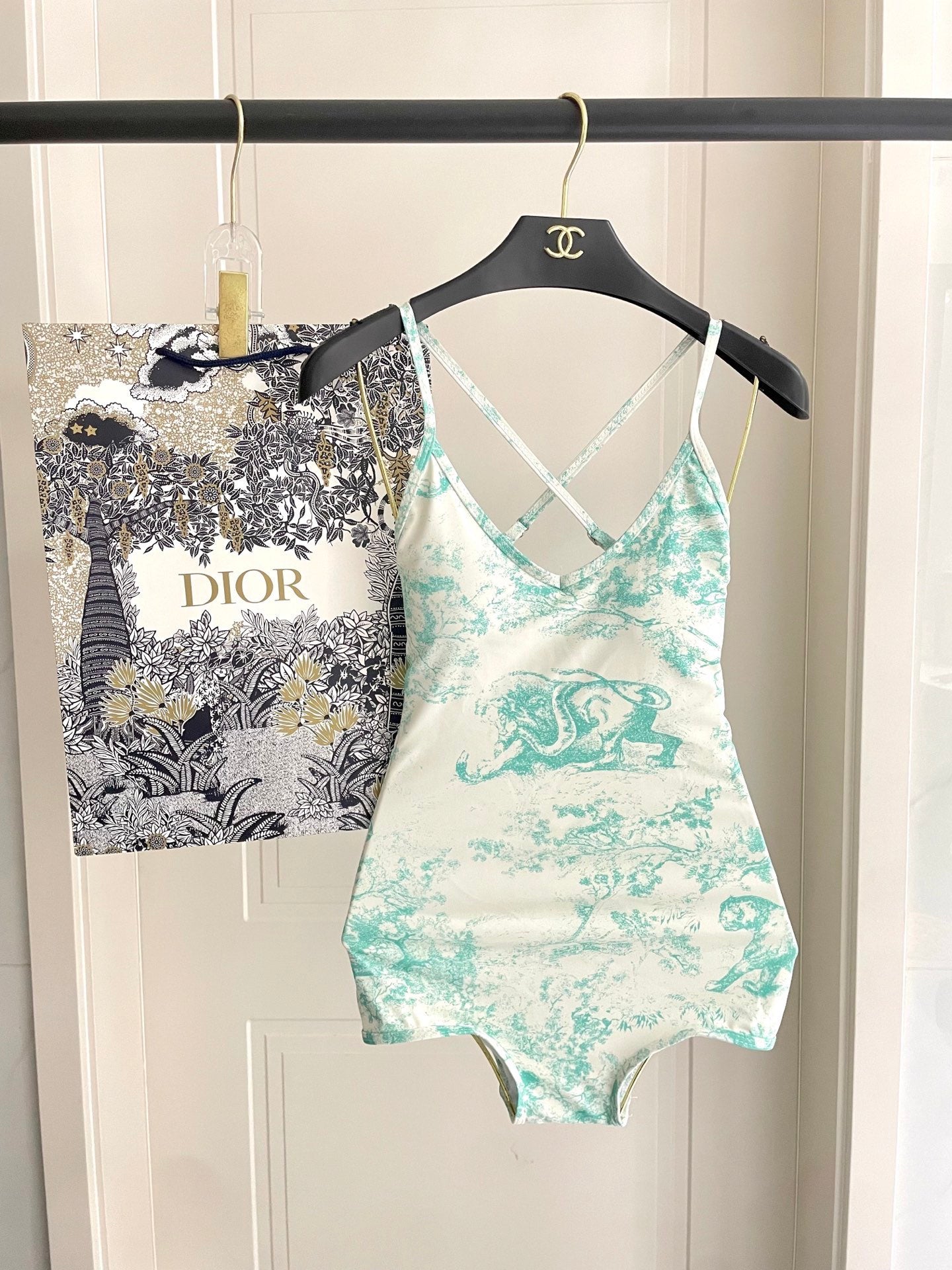 Dior Backless One-Piece Swimsuit