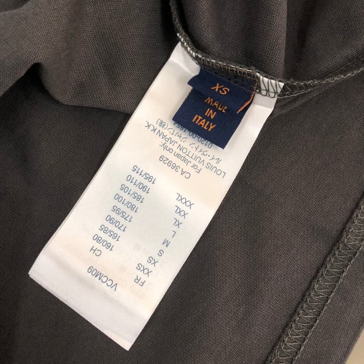 Louis Vuitton Classic Logo Oversized T-Shirt – 26SS in Deep Grey