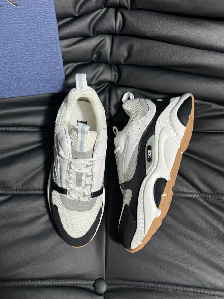 Dior B22 Calfskin Sneakers in Black
