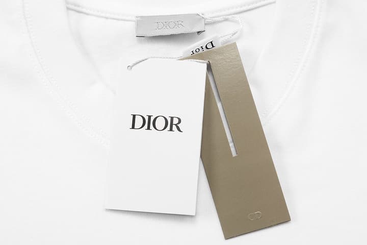 Dior x Stone Island Destroyed Logo T-Shirt – 2025 in White