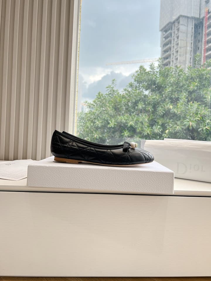 Dior Embroidered Leather Loafers – 2024 Spring Collection in Cream