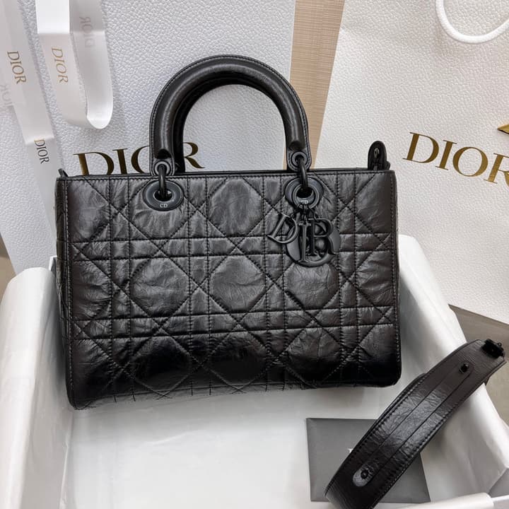 Dior Lady D-Sire My ABCDior Handbag – 24SS in Black Pleated Leather