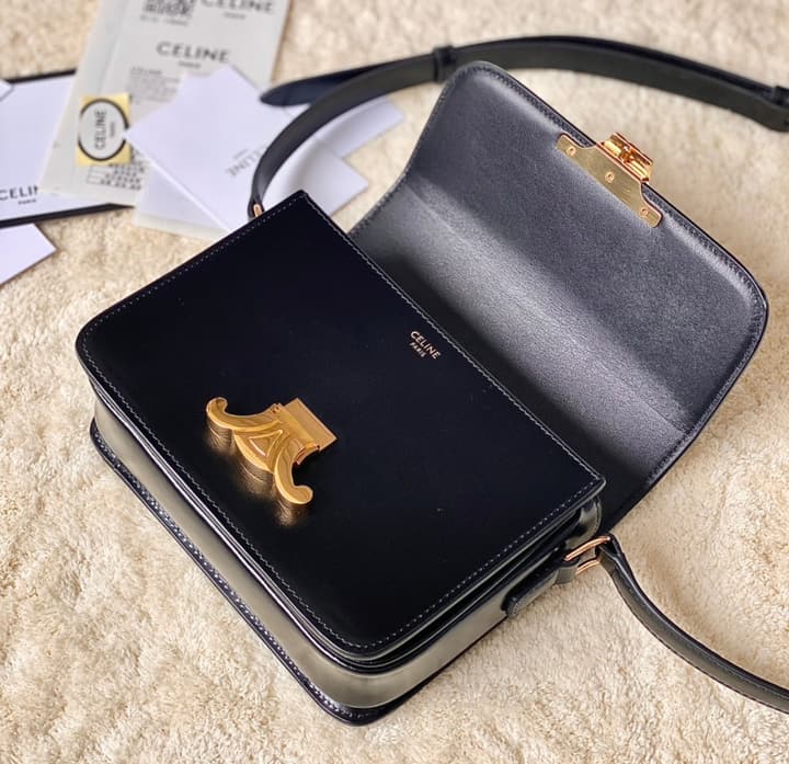 Celine Triomphe Box Calfskin Bag in Burnt Orange