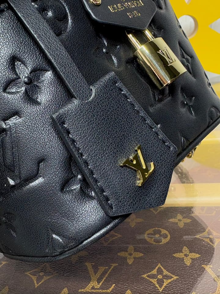 Louis Vuitton Vanity Small Handbag