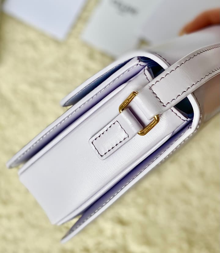 Celine Triomphe Box Calfskin Bag in Burnt Orange