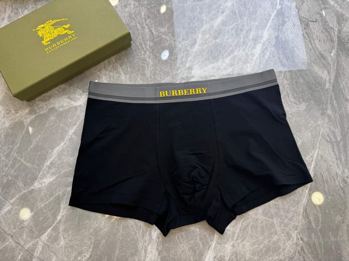 Burberry Men's Seamless Cotton Boxer Briefs – 3-Pack