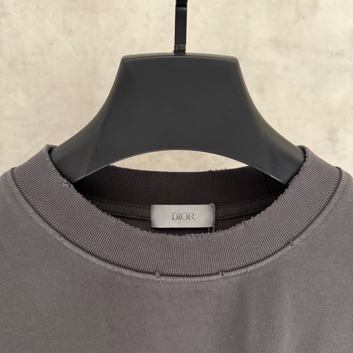 Dior Patch Embroidered Heavyweight T-Shirt in Grey