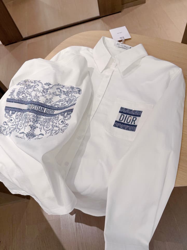 Dior Butterfly and Letter Print Rhinestone T-Shirt in White With Blue Print