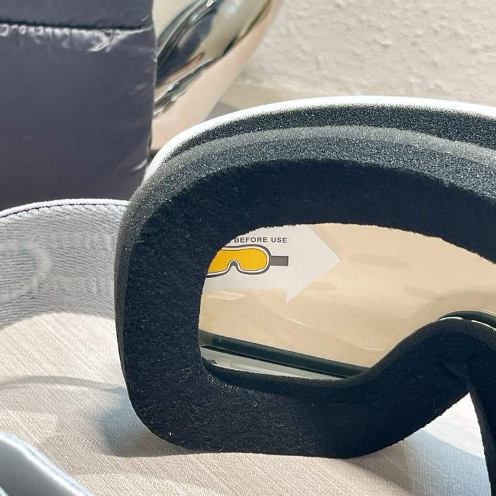 Celine Ski Goggles in All Black Frame