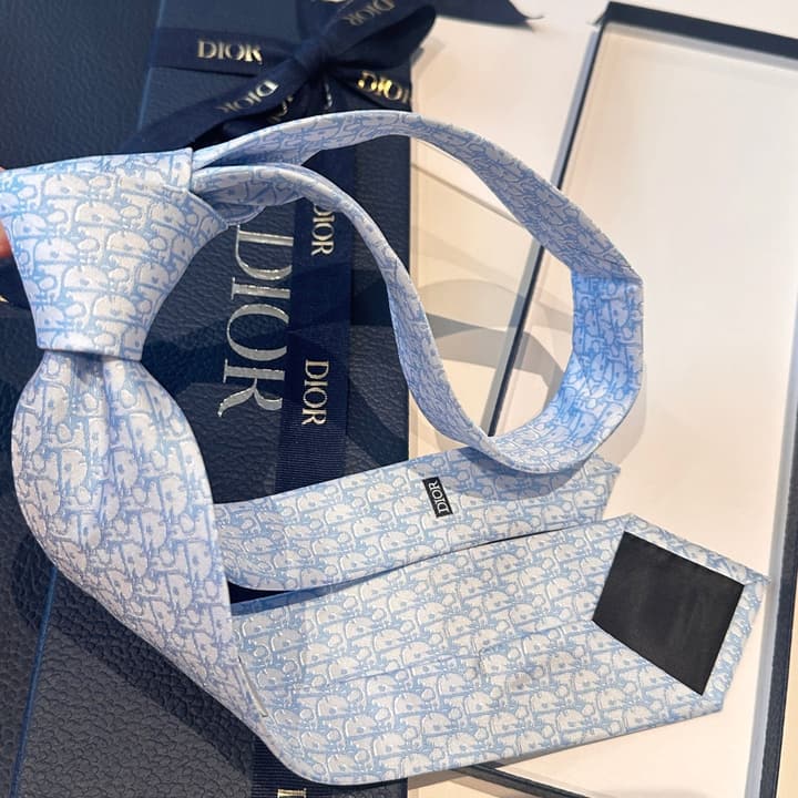 Dior Blue Oblique Pixel Silk Tie in Coffee